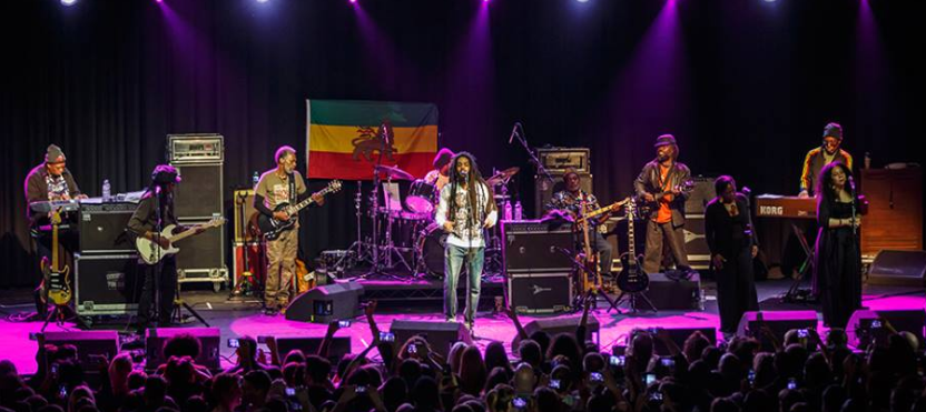 En este momento estás viendo The Wailers